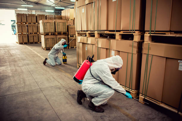 Best Pest Prevention Services  in Maryville, MO