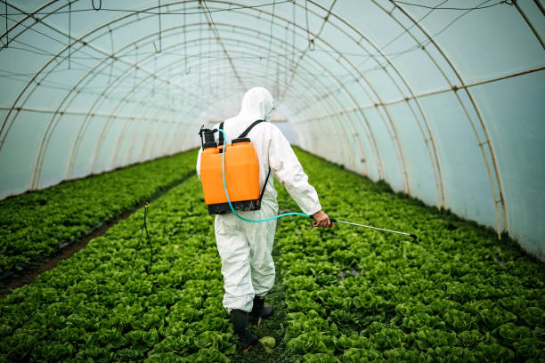 Best Pest Inspection Near Me  in Maryville, MO