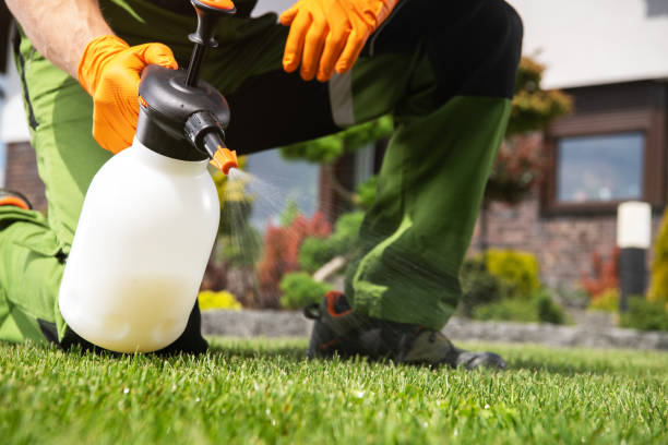 Best Cockroach Control Services  in Maryville, MO