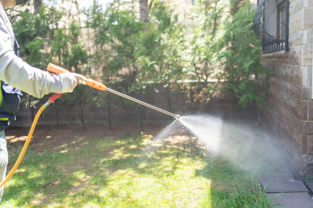 Best Flea Control Services  in Maryville, MO