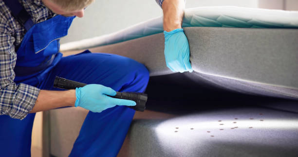 Best Affordable Pest Control Services  in Maryville, MO