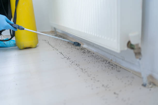 Best Commercial Pest Control Services  in Maryville, MO