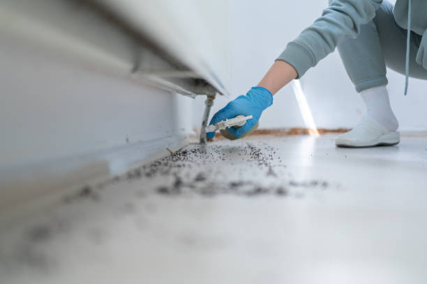 Best Residential Pest Control  in Maryville, MO