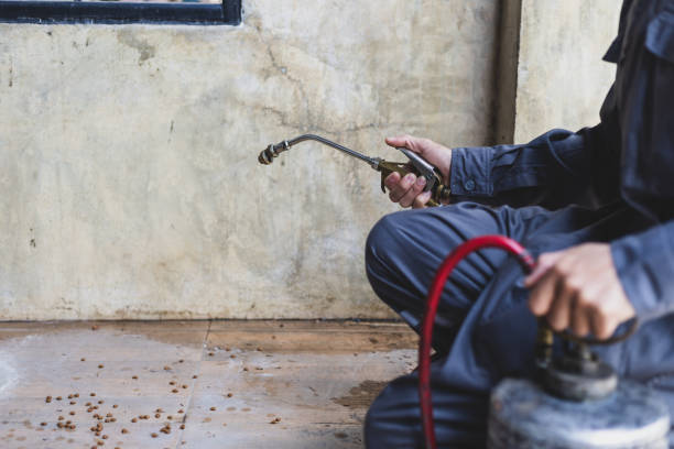 Best Exterminator Services  in Maryville, MO